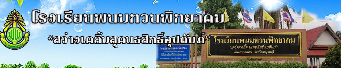 โรงเรียนพนมทวนพิทยาคม